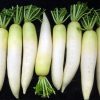 What is the Most Consumed Vegetable in Japan?