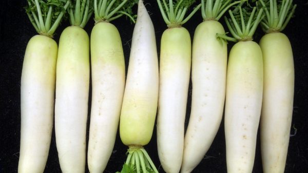 What is the Most Consumed Vegetable in Japan?