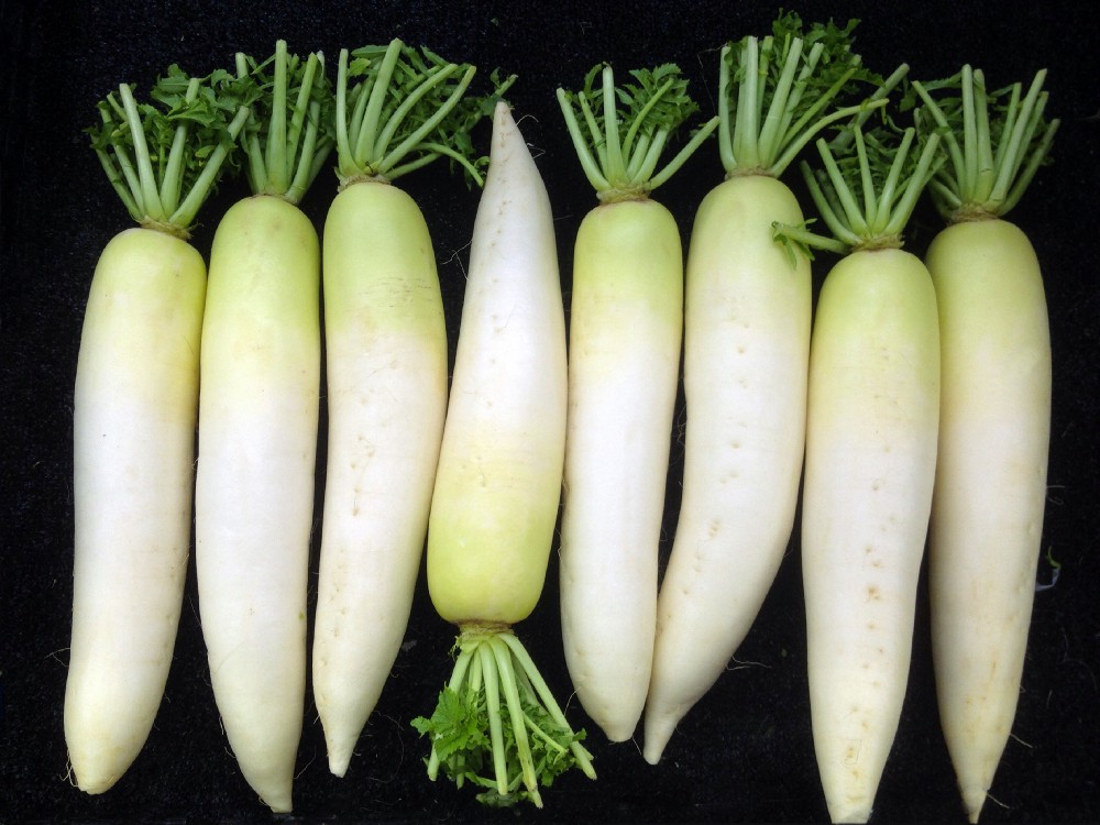 What is the Most Consumed Vegetable in Japan?