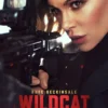 Wildcat